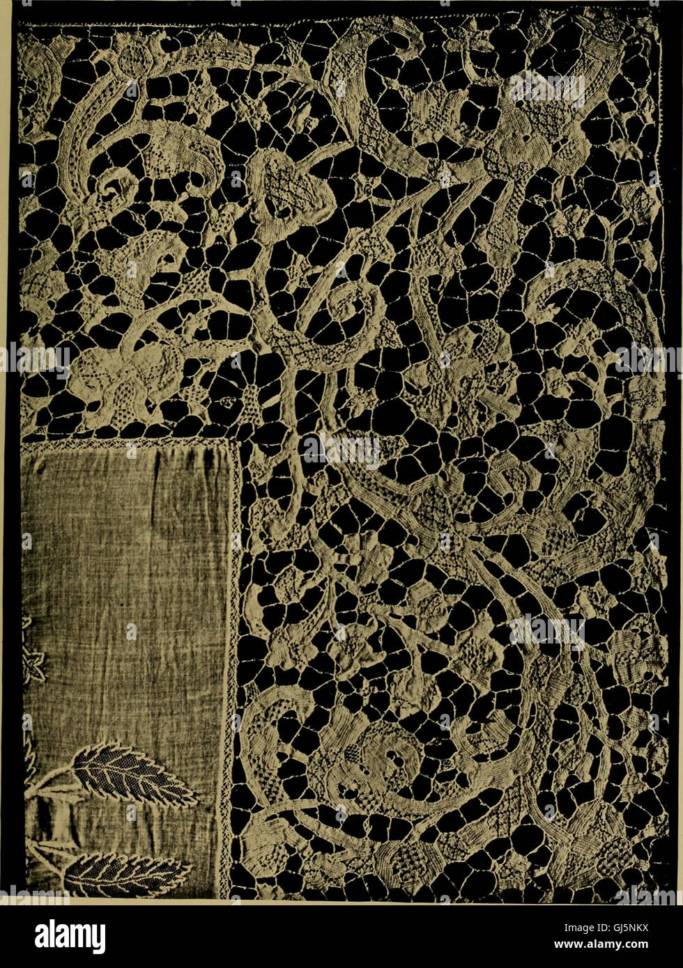 History of lace (1902 Stock Photo Alamy