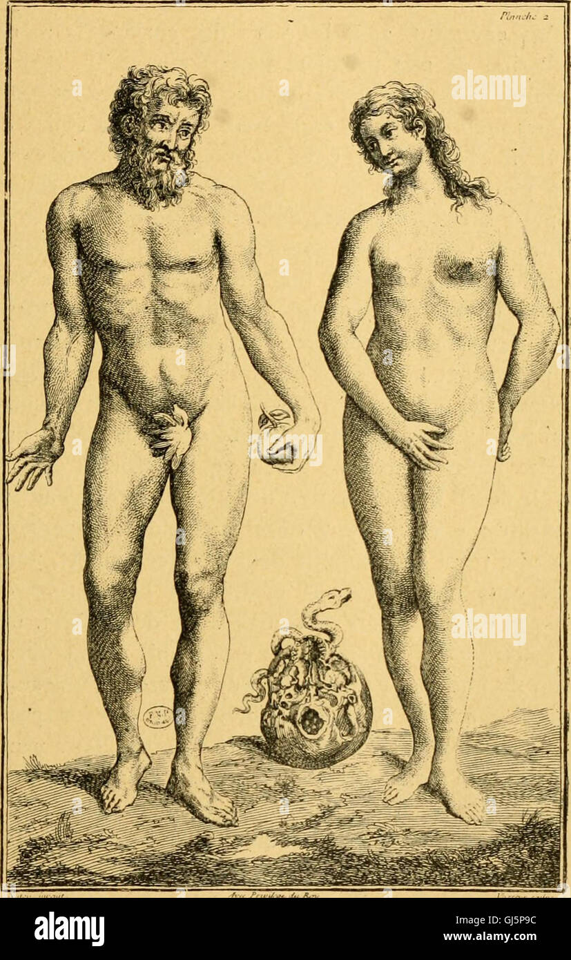 Histoire de l'anatomie plastique - les maitres, les livres et les ècorchès (1898) Stock Photo
