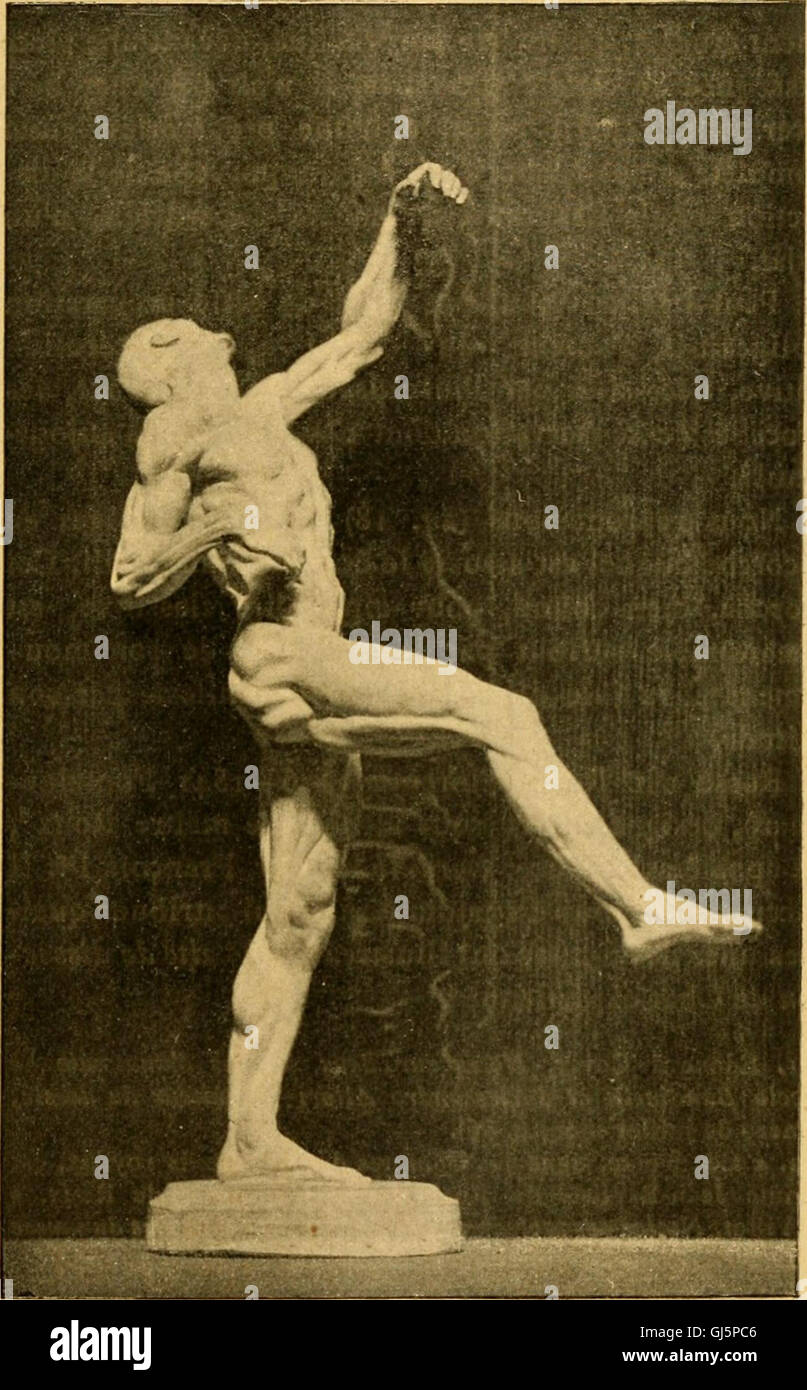 Histoire de l'anatomie plastique - les maitres, les livres et les ècorchès (1898) Stock Photo