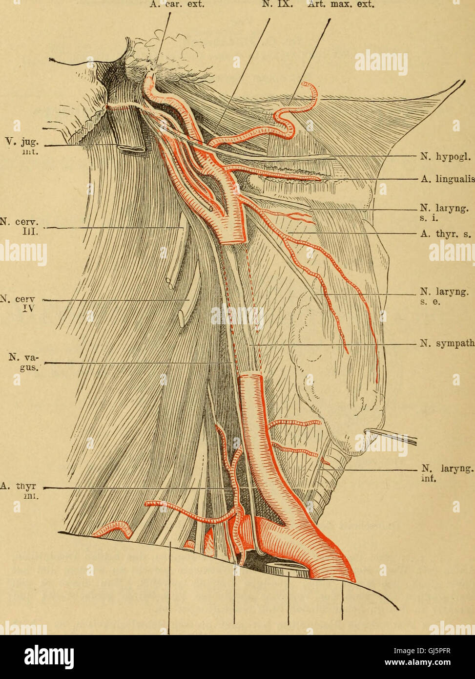 This 1895 German text presents an overview of the current state of ...