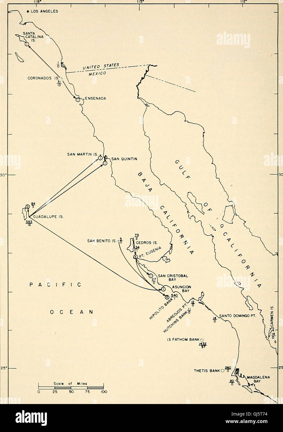 California fish and game Stock Photo Alamy