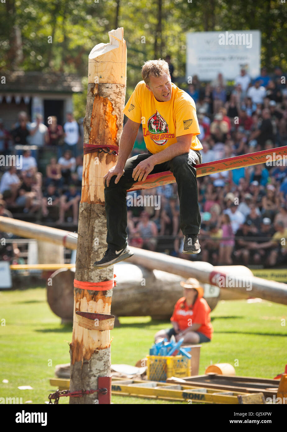 An exhausted competitor after the open springboard chop event.  The Squamish Loggers Day Loggers Sports event. Stock Photo