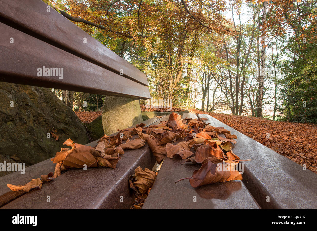 brown autumn leaves on park bench in perspective view Stock Photo - Alamy