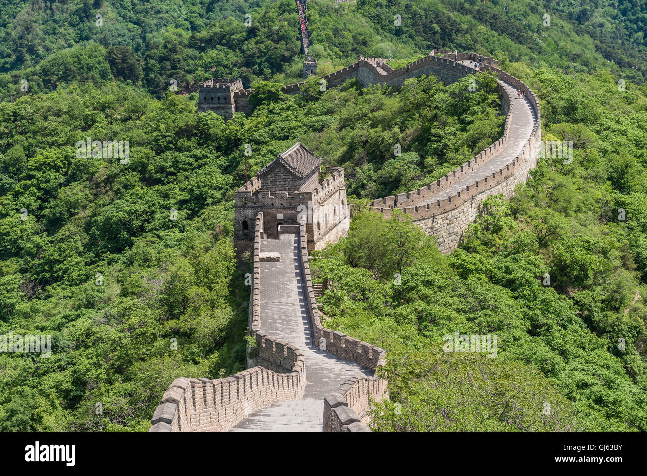 Great Wall of China Stock Photo Alamy