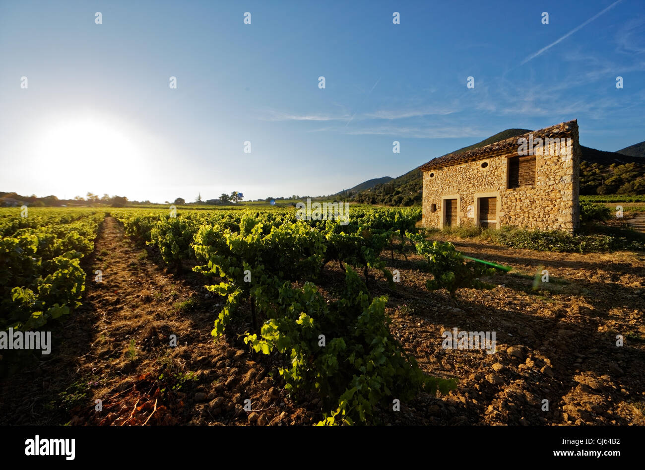 Old small stone house in the wine yards, South of France Stock Photo