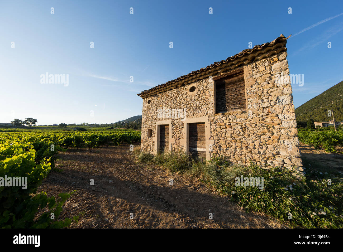 Old farmhouse in the wine yards, south of France Stock Photo