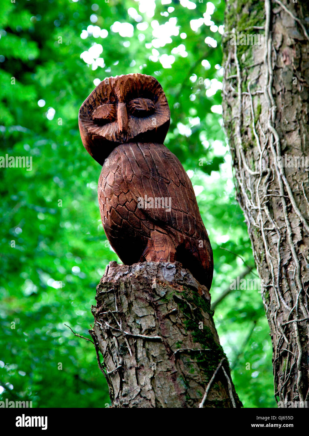 Carved owl sculpture, Lough Naglack, Carrickmacross Stock Photo