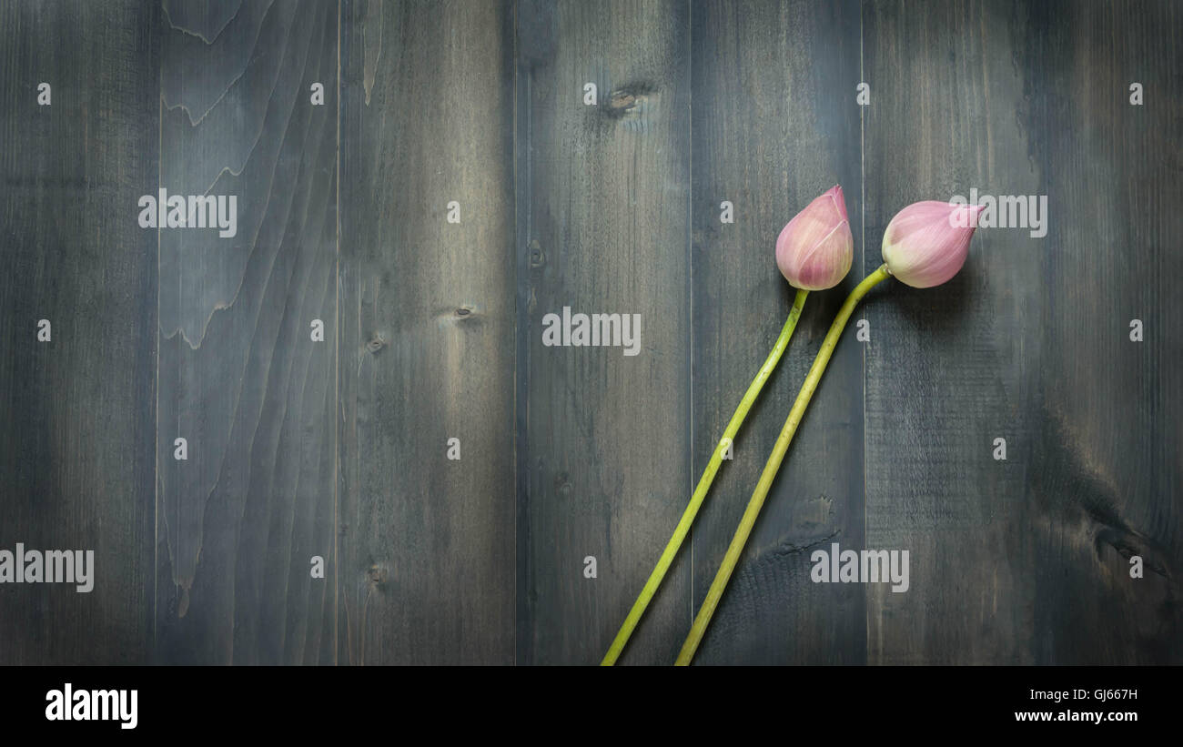 top view of pink water lily over wooden background,  Free space for text Stock Photo