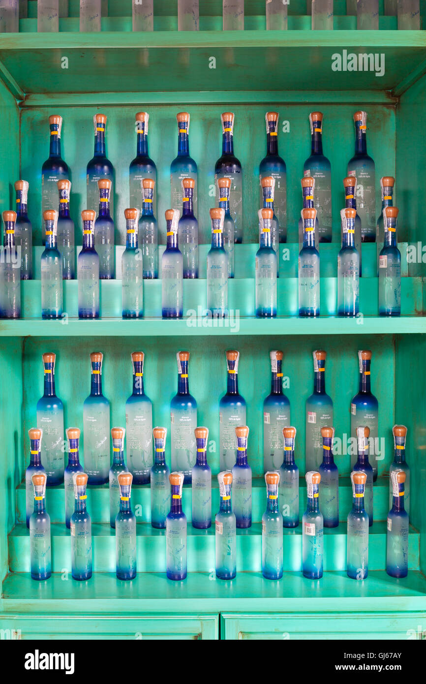 Tequila Cava de Oro storefront in Tequila, Jalisco, Mexico. Stock Photo