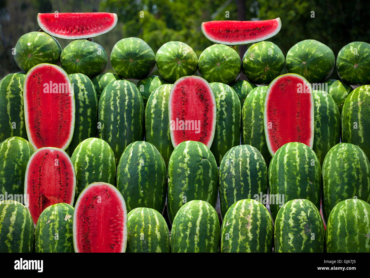 Seeded Watermelons Near Me – Get To Know Em!