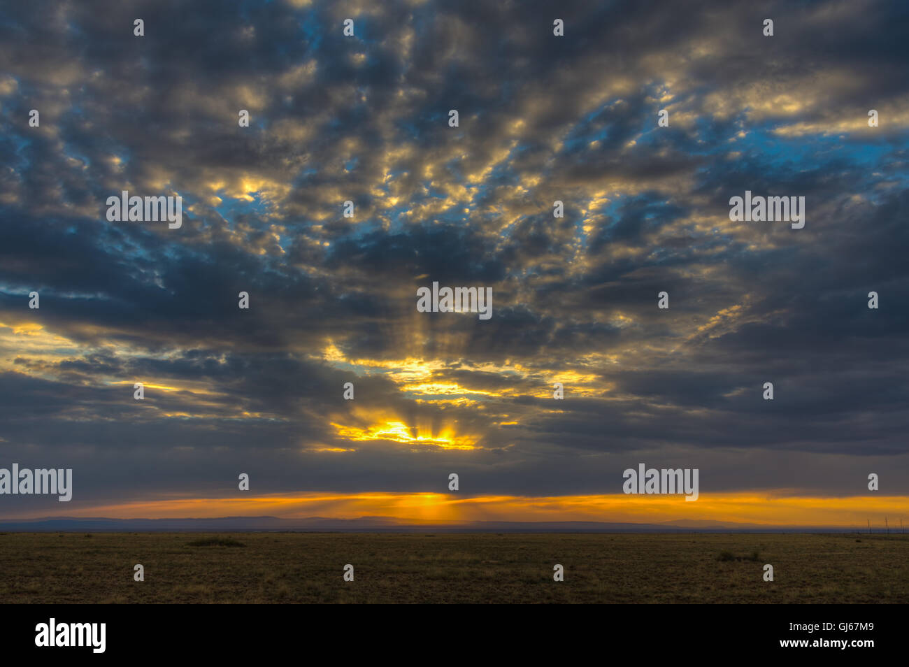 Sunset over Plains Grassland habitat in central New Mexico.  Valencia co., New Mexico, USA. Stock Photo