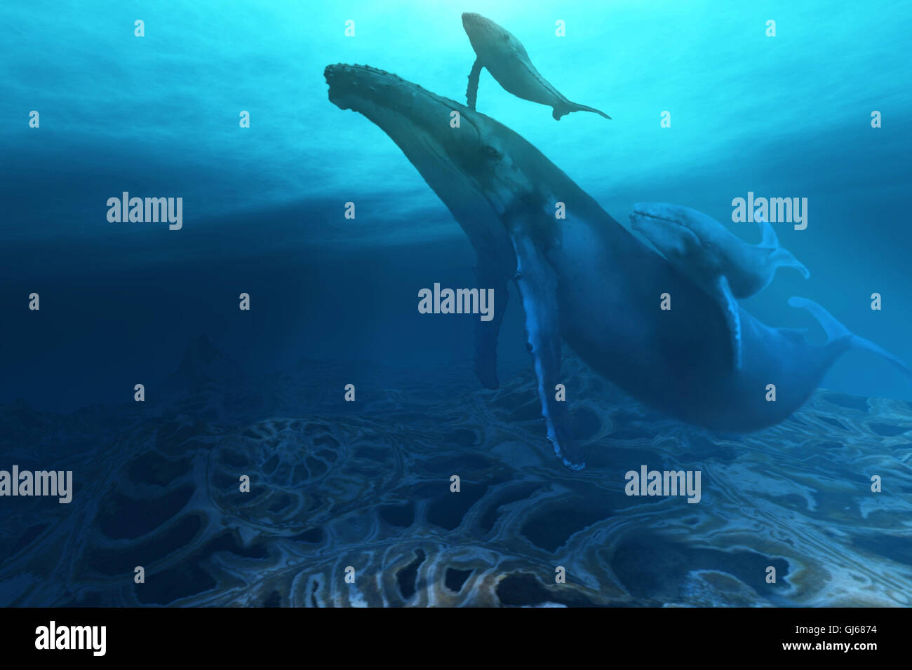 Beautiful fossils hires stock photography and images Alamy