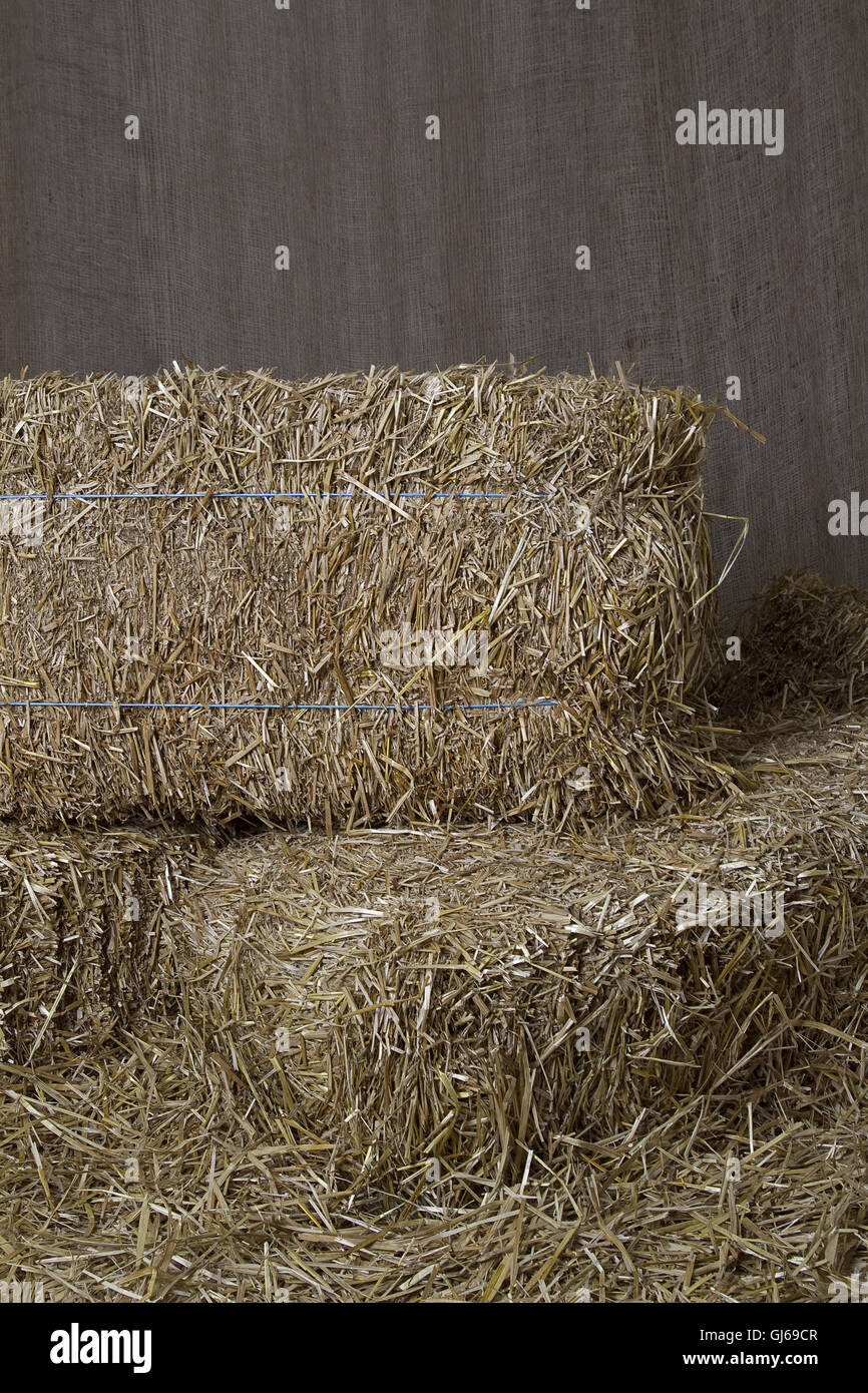 Bale of straw Stock Photo Alamy