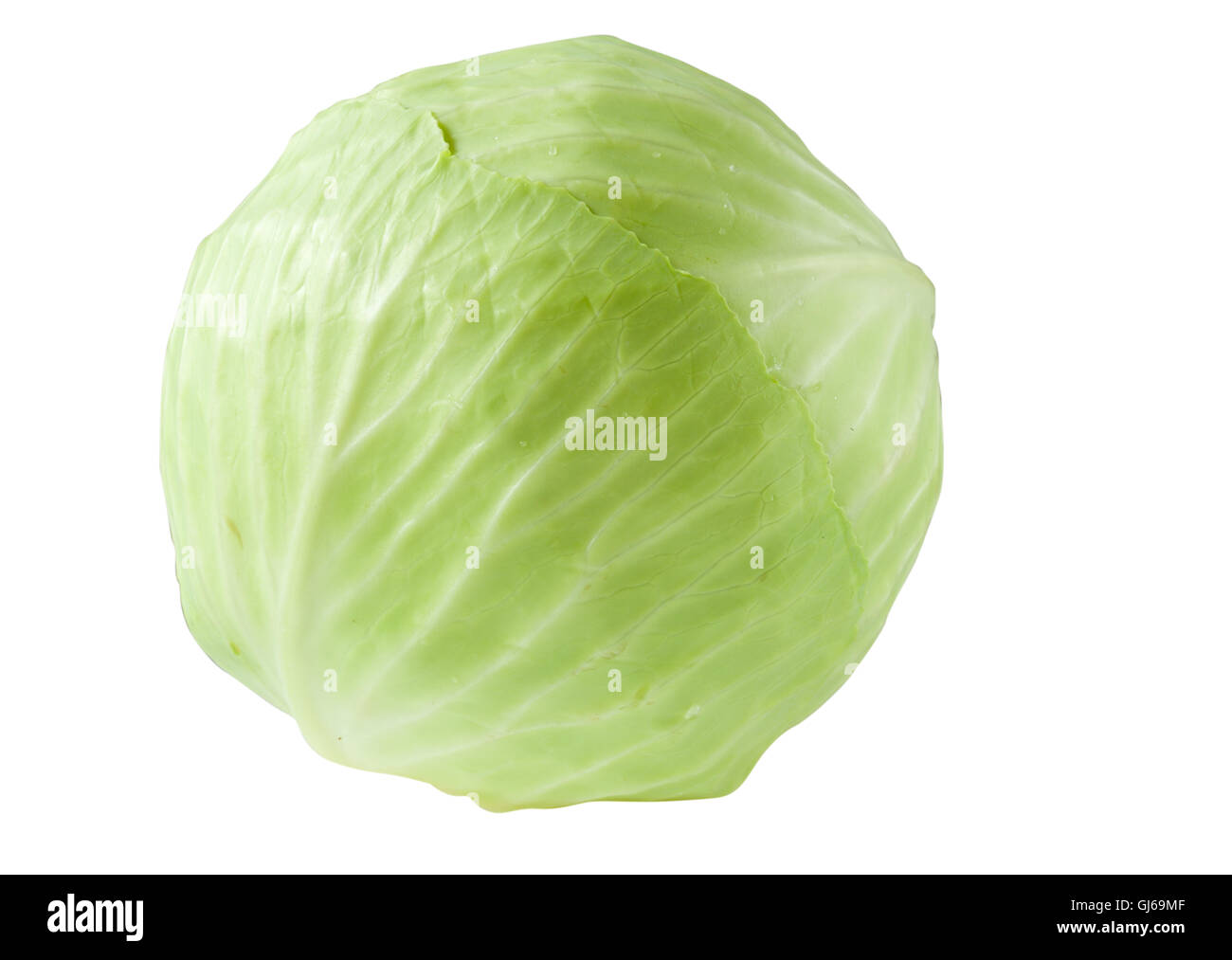 Head of cabbage isolated Stock Photo Alamy