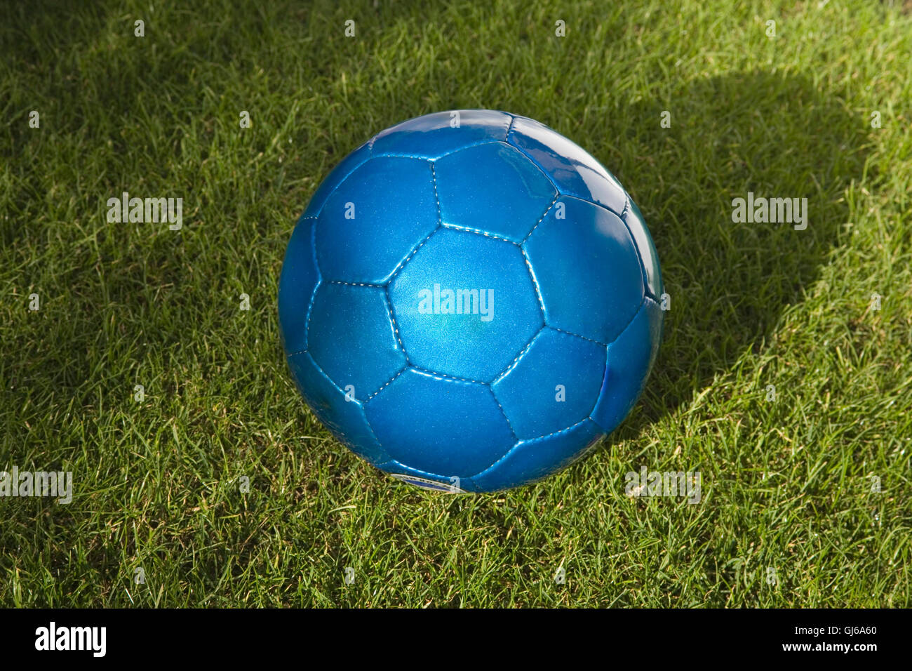 Close up of a Blue leather Football on Grass Stock Photo Alamy