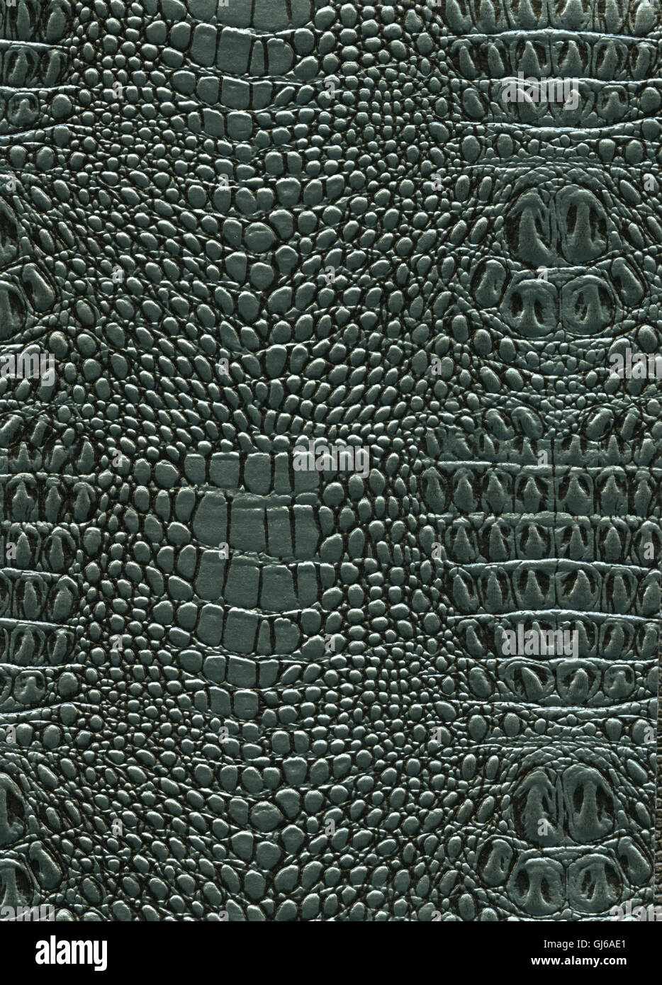 texture of skin Stock Photo Alamy