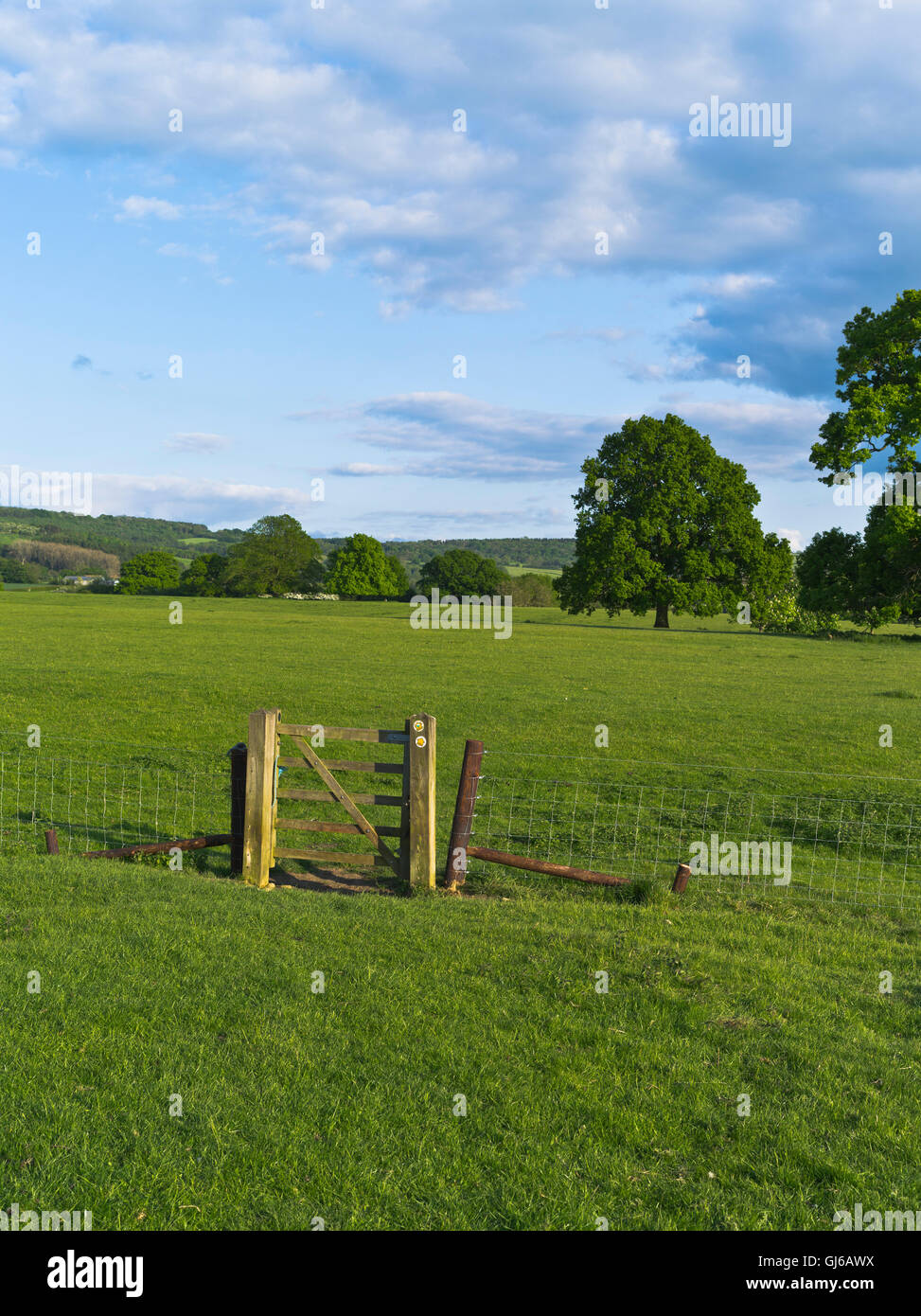 dh Wardens Way WINCHCOMBE GLOUCESTERSHIRE Footpath field gate stile countryside cotswolds country uk foot path summer Stock Photo