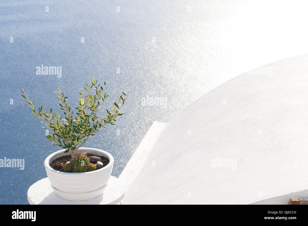 little olive tree in pot with view to the Caldera, Oia, Santorini, Greece Stock Photo