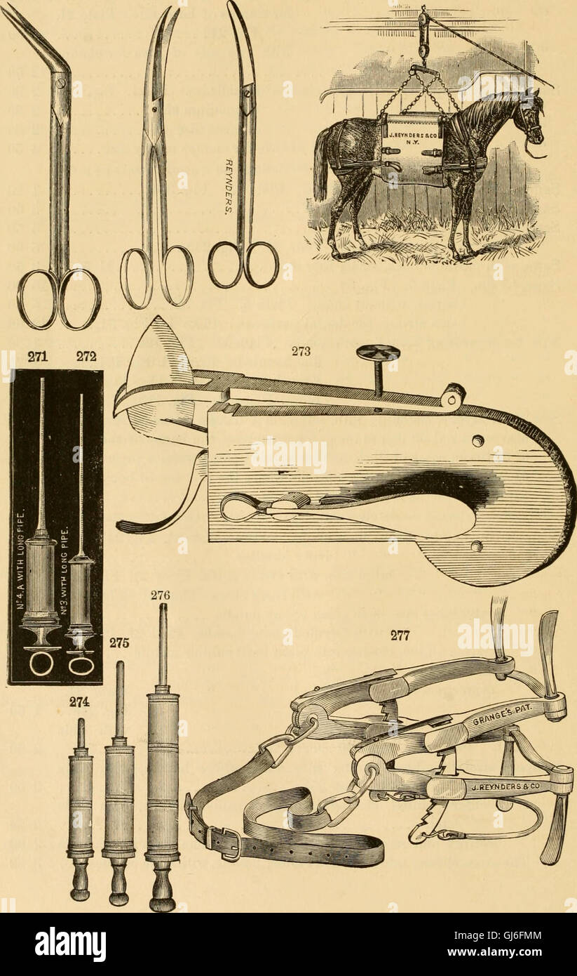 Veterinary Statutory Instruments This 1881 illustrated register lists various veterinary instruments ...
