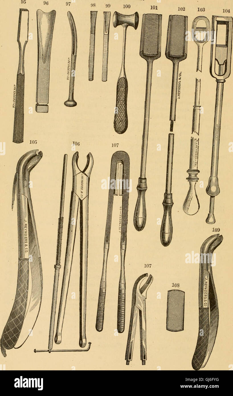 Veterinary Instruments Labelled This 1881 illustrated register lists veterinary instruments, anatomical ...