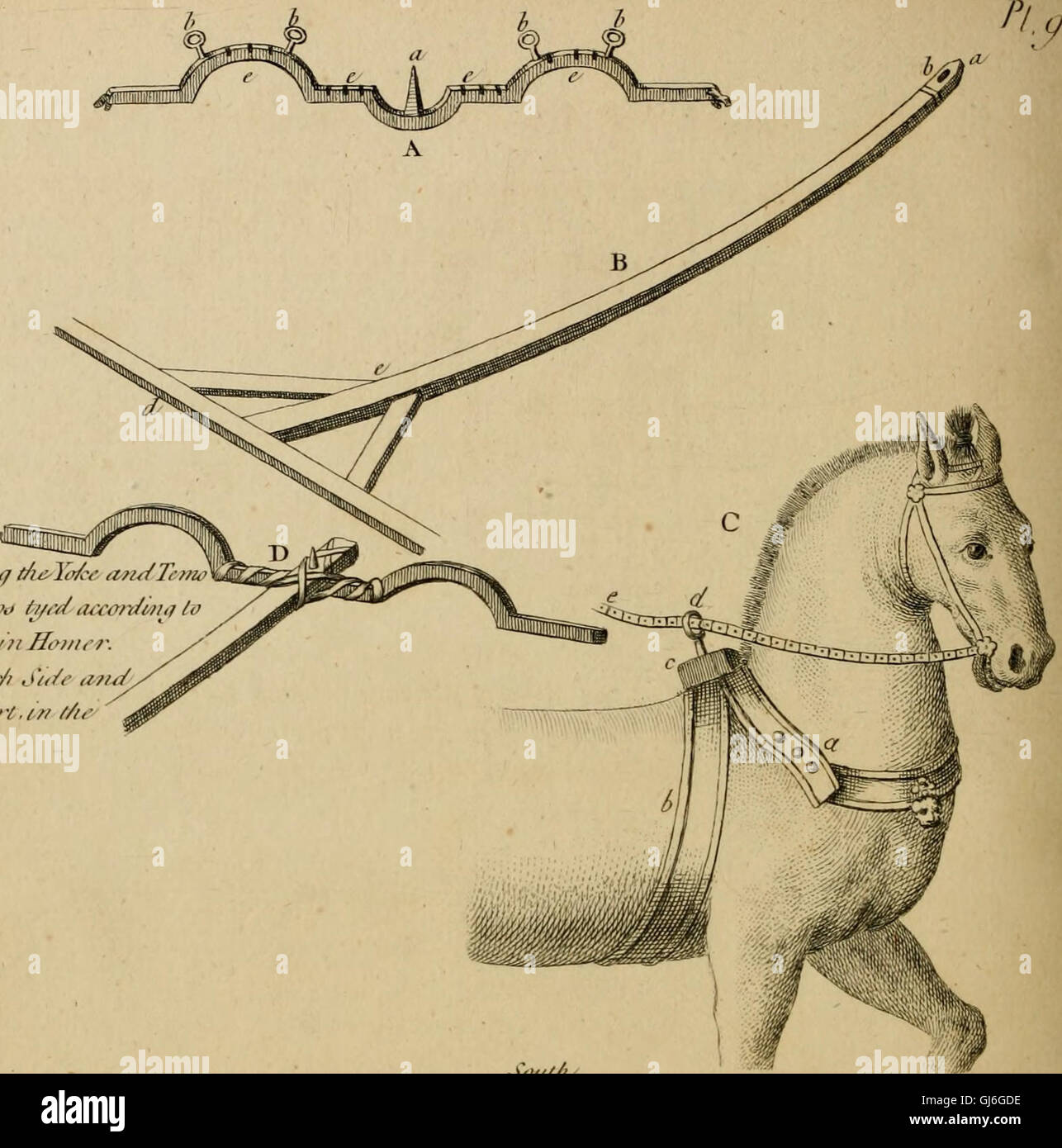 The history and art of horsemanship (1771 Stock Photo Alamy