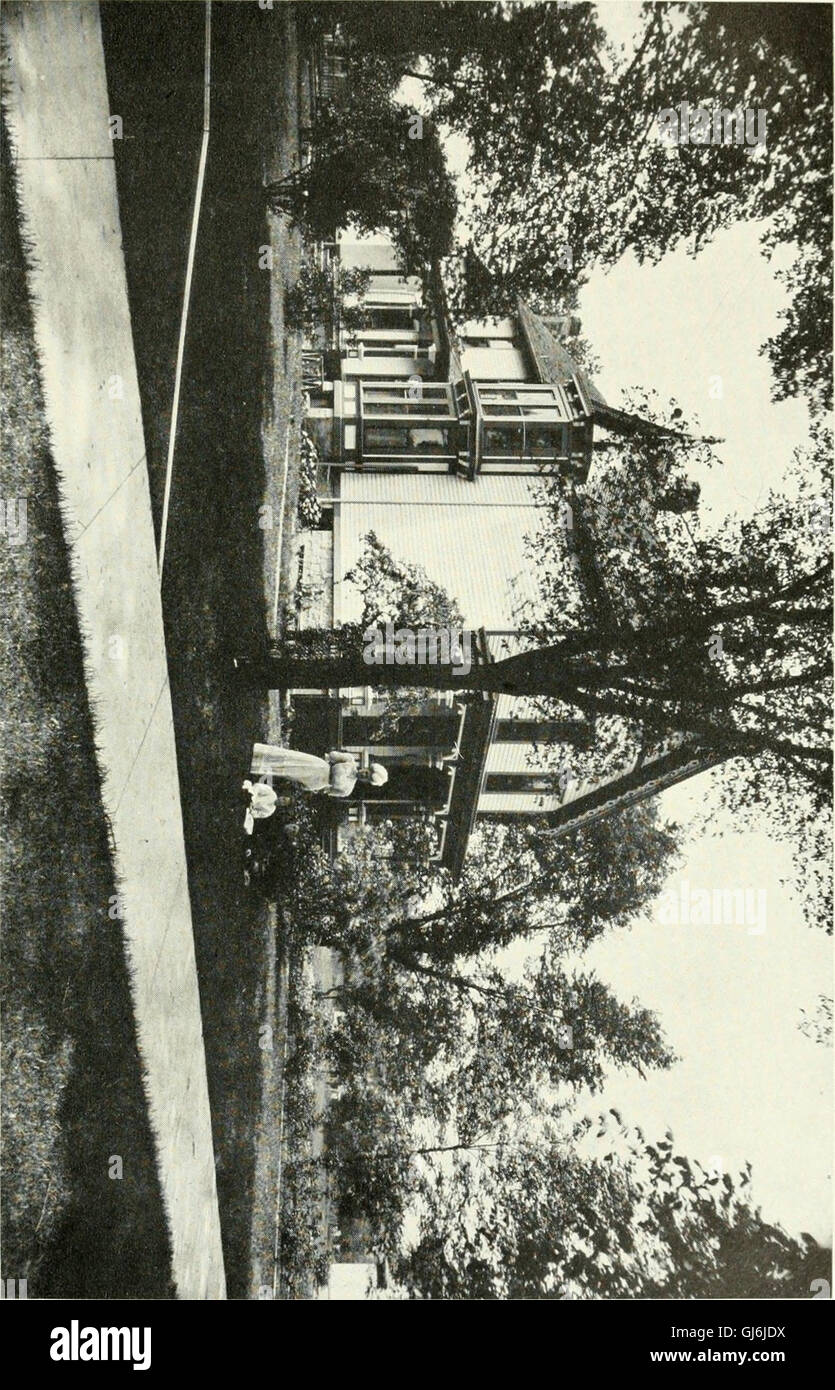This 1908 historical review provides an overview of Chicago and Cook ...