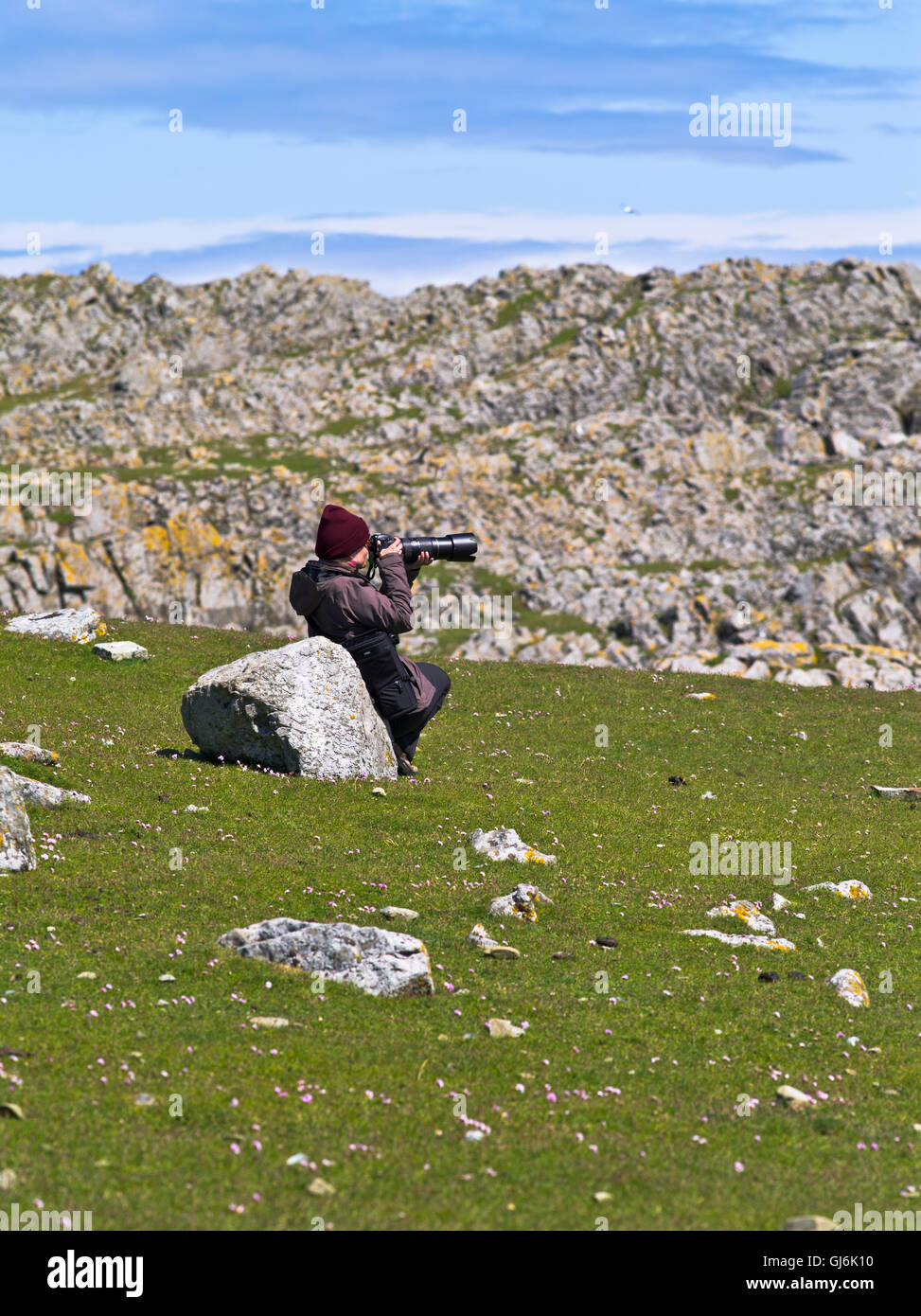 dh  BU NESS FAIR ISLE Woman taking photographs telephoto lens photographing birds photos scotland wildlife photography bird watchers photographer uk Stock Photo