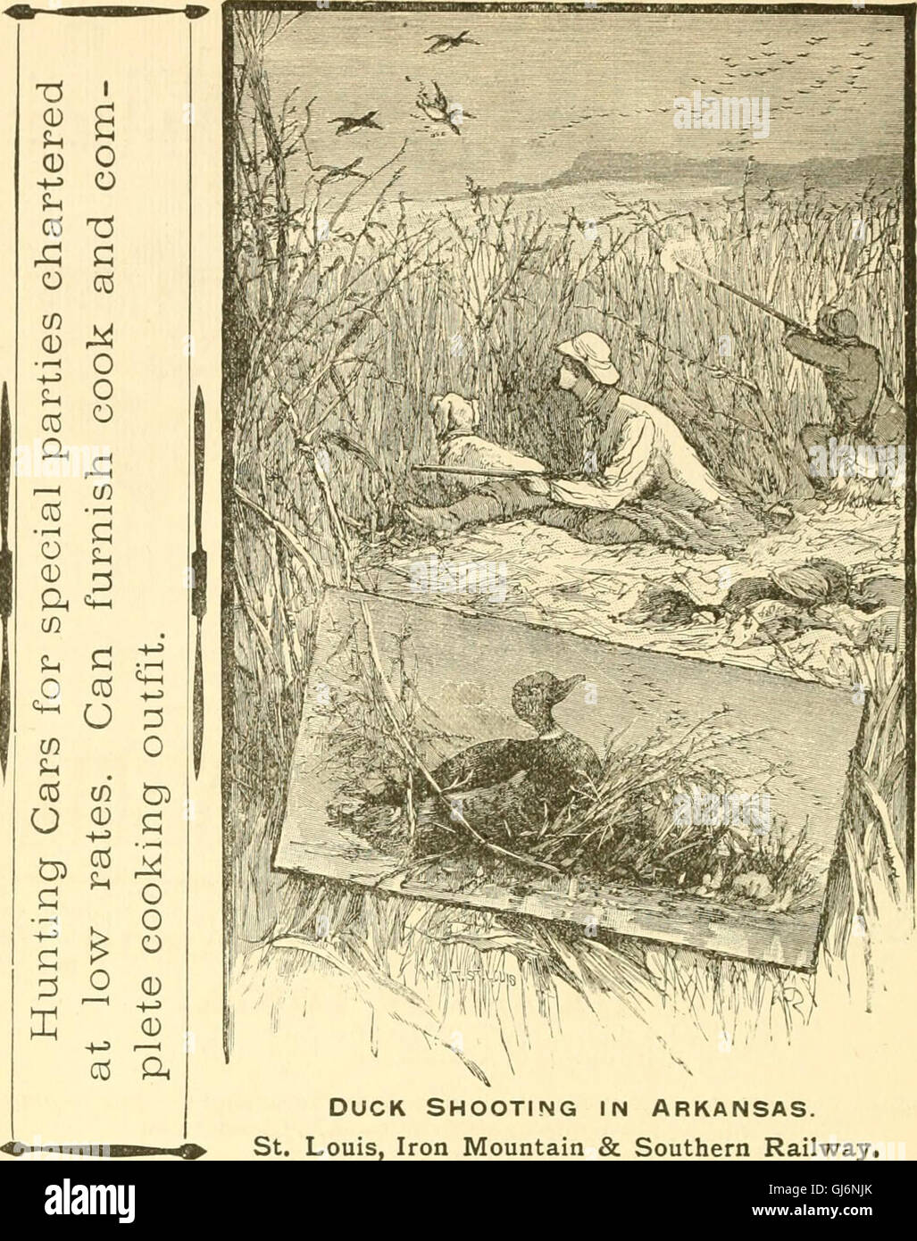 Wild fowl shooting. Containing scientific and practical descriptions of wild fowl- their resorts, habits, flights and the most successful method of hunting them (1888) Stock Photo