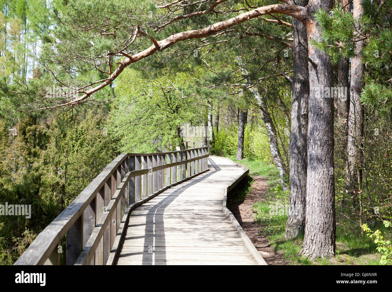 The wooden path in countryside regional park (Lithuania Stock Photo - Alamy