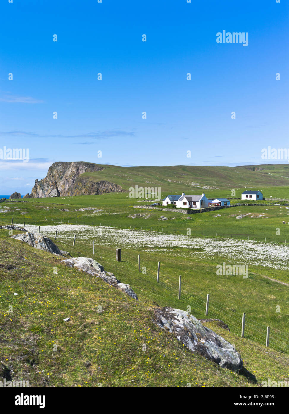 dh FAIR ISLE SHETLAND Cottage house bog cotton field remote scotland croft isles national trust landscape Stock Photo