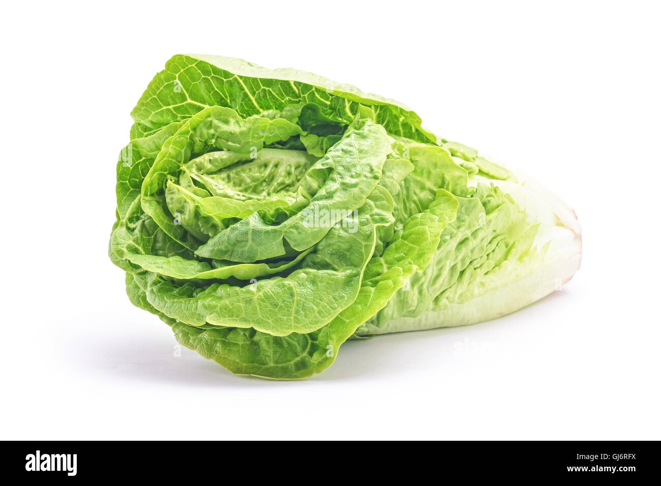salad head isolated on white Stock Photo Alamy