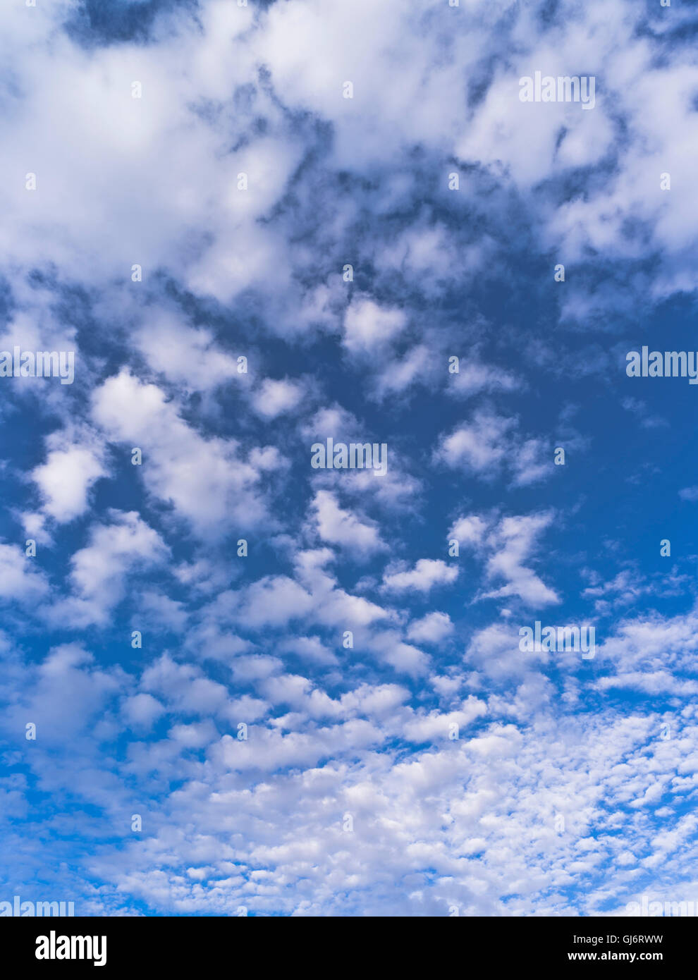 dh Clouds SKY UK White fluffy clouds background cloud over blue sky skyscape with nobody Stock Photo