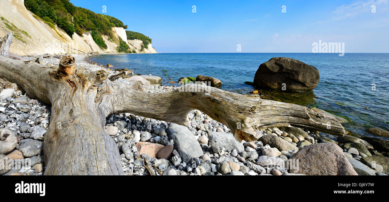 Chalk rocks, erratic blocks, driftwood, National Park Jasmund, island Rügen, Mecklenburg-West Pomerania, Germany Stock Photo