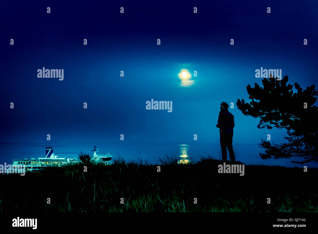 The Netherlands, Frisia, Terschelling, dunes, night, moon, man Stock Photo