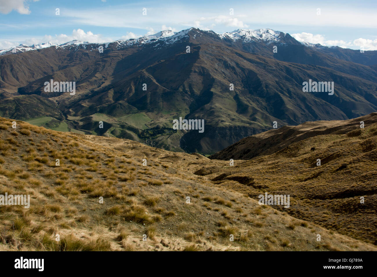 The highest mountain pass of New Zealand crosses the Southern Alps as Cadrona Pass at 1078 meter in a typical Tussock grassland. Stock Photo