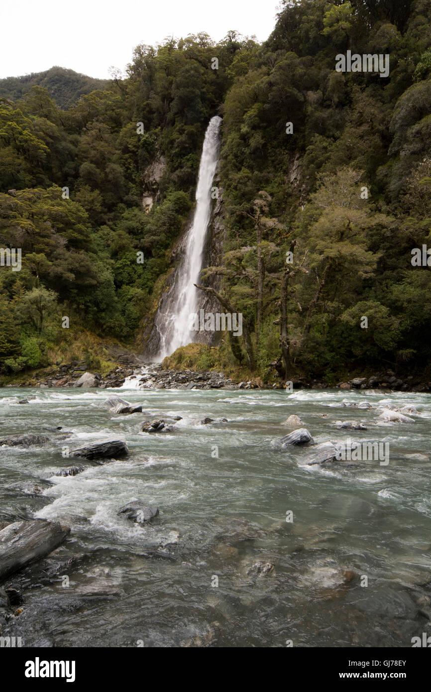 Thunder Creek Falls are roaring into the Haast River just a five minutes stroll from the Haast Pass in New Zealand. Stock Photo