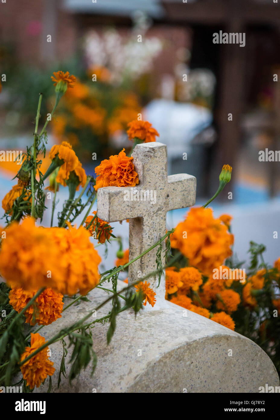 Day of the dead,decoration of graves at San Miguel cemetary, Oaxaca