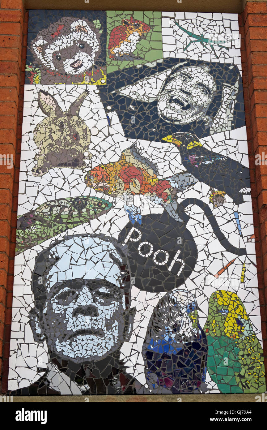 Afflecks Palace Manchester Pooh mosaic Pet shops of Tib St Stock Photo