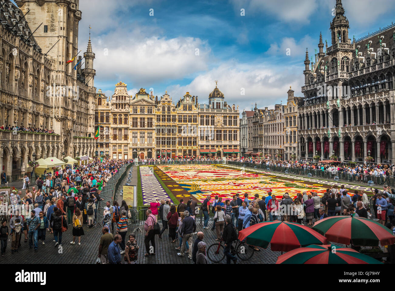 2016 Brussels Flower Carpet Stock Photo
