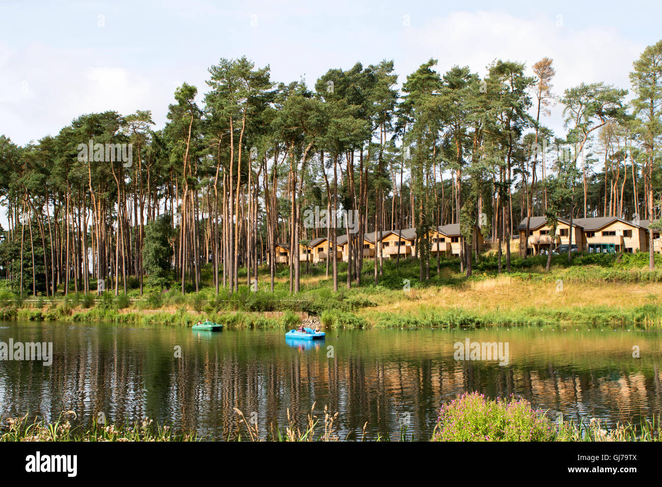 Center Parcs Woburn Forest, the newest holiday village of Center Parcs UK, located in Bedfordshire  UK Stock Photo