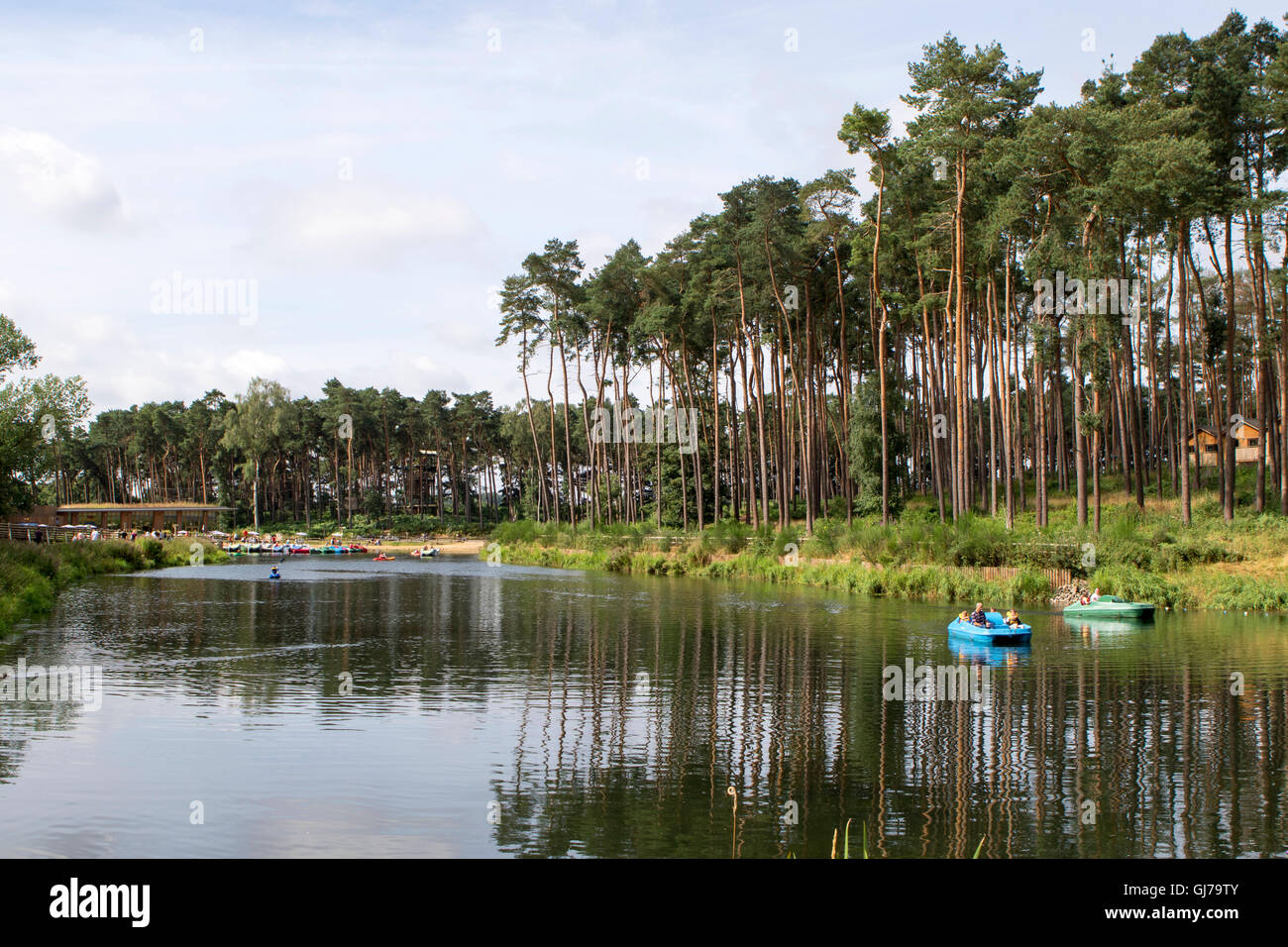 Center Parcs Woburn Forest, the newest holiday village of Center Parcs UK, located in Bedfordshire  UK Stock Photo