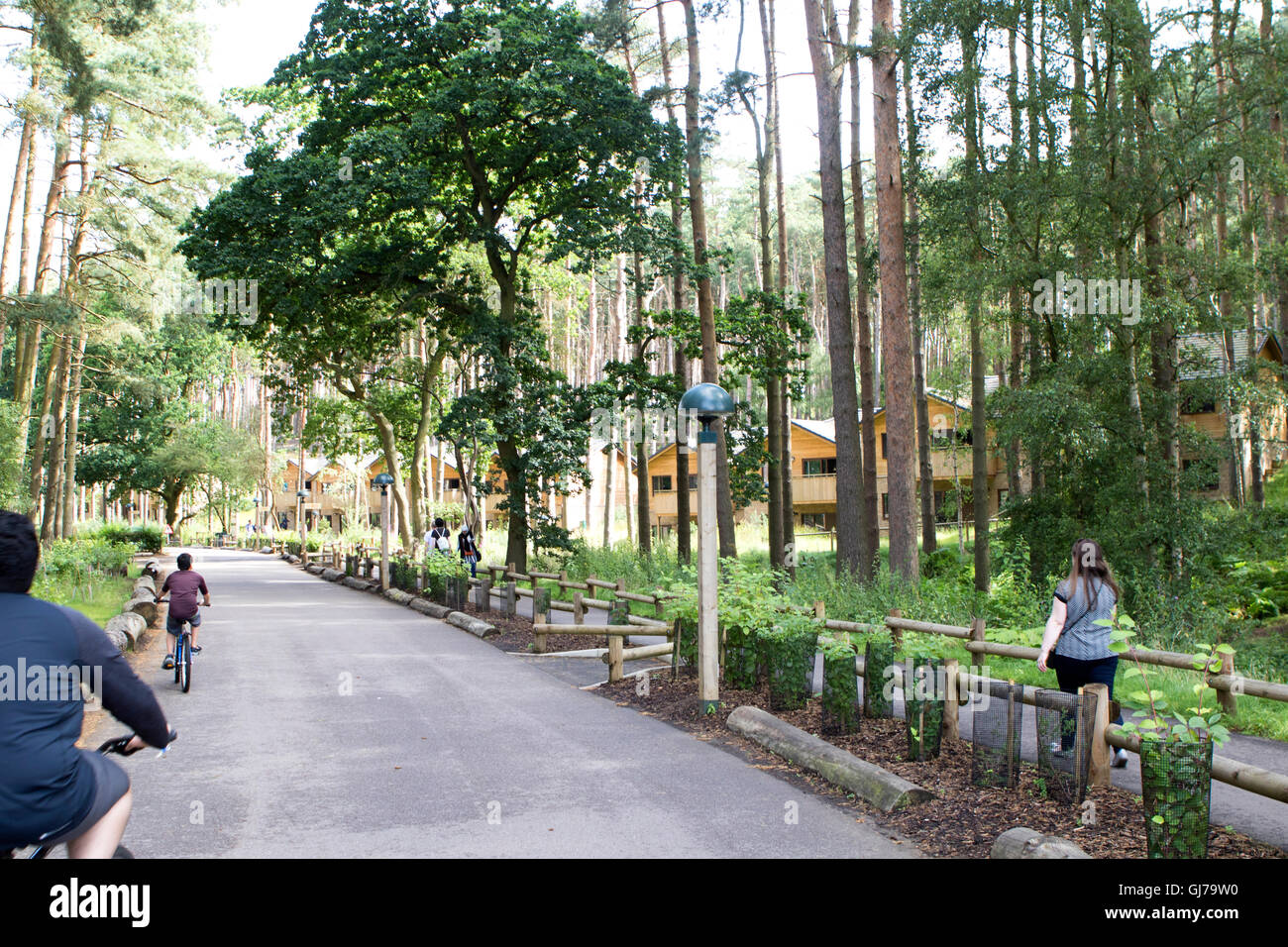 Center Parcs Woburn Forest, the newest holiday village of Center Parcs