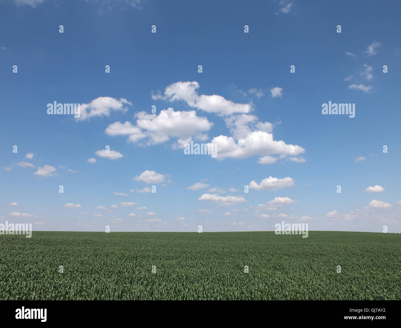 vrbas-serbia-hi-res-stock-photography-and-images-alamy