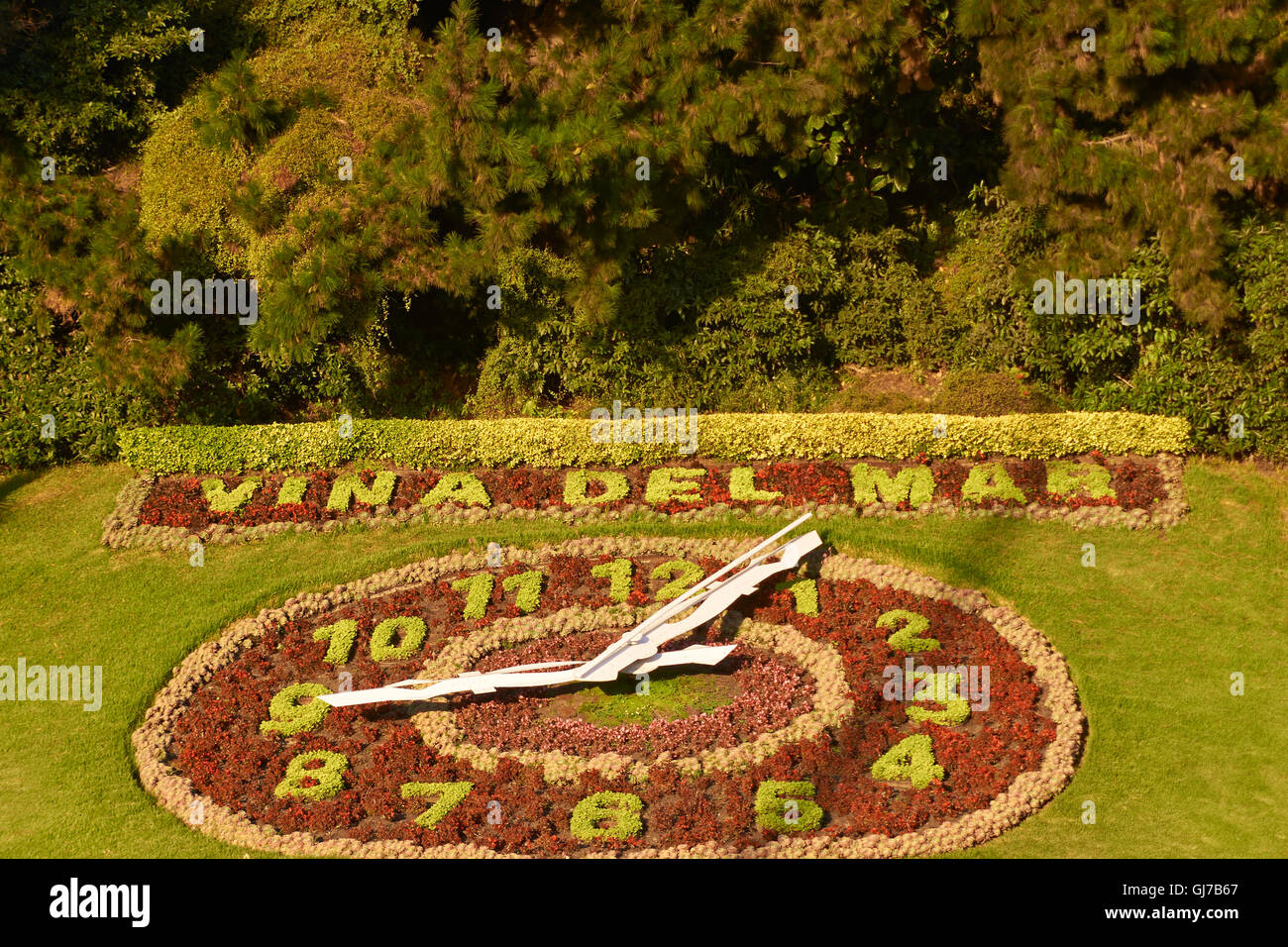 Clock made using flowers in the coastal city of Vina del Mar in central Chile. Stock Photo