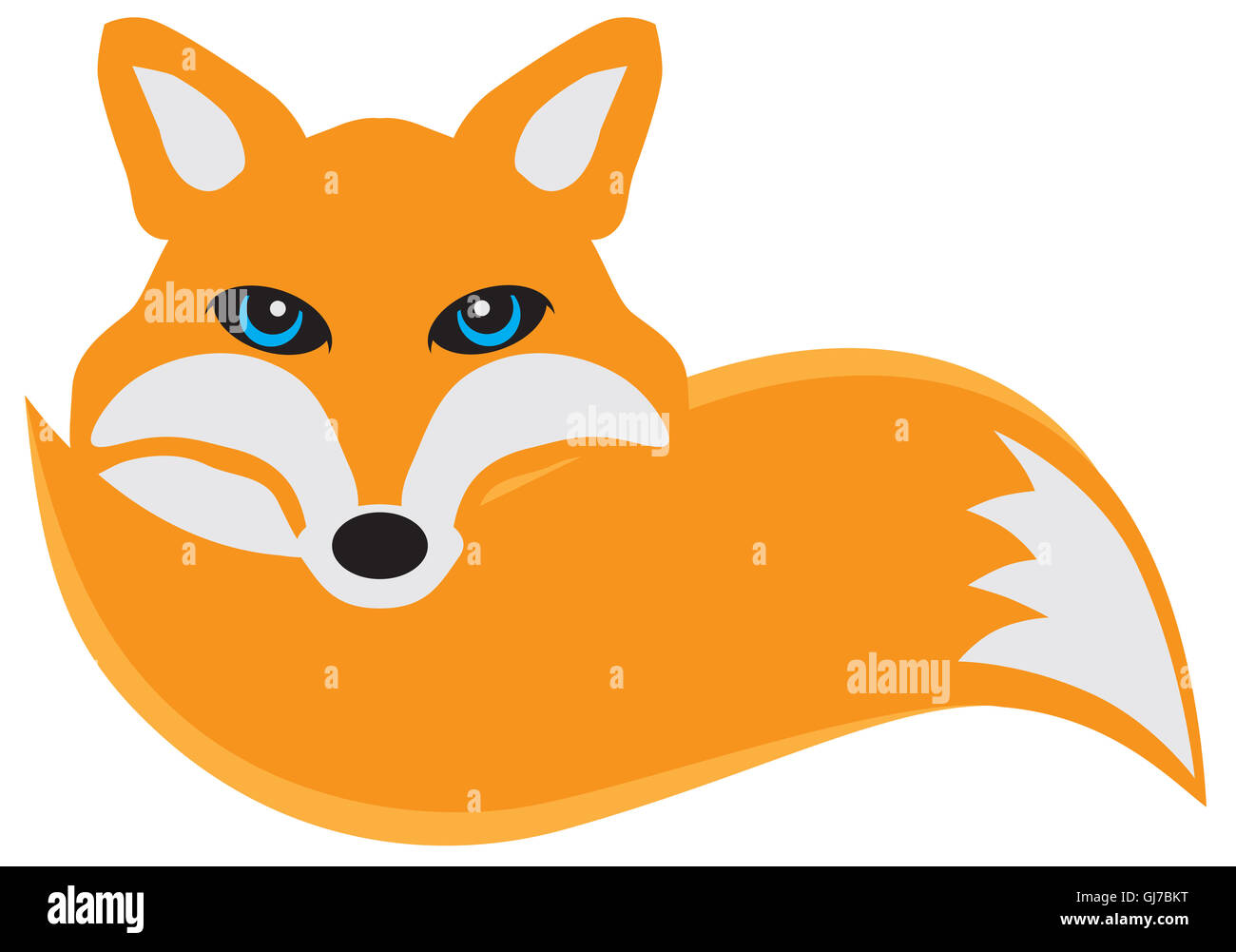 Fox curled up its tail color illustration Stock Photo
