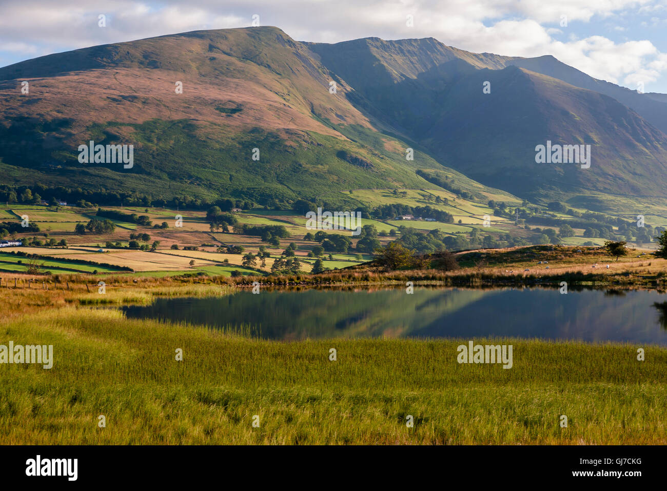Tewet Tarn, a small lake near St John's in the Vale, Lake District, Cumbria, England Stock Photo
