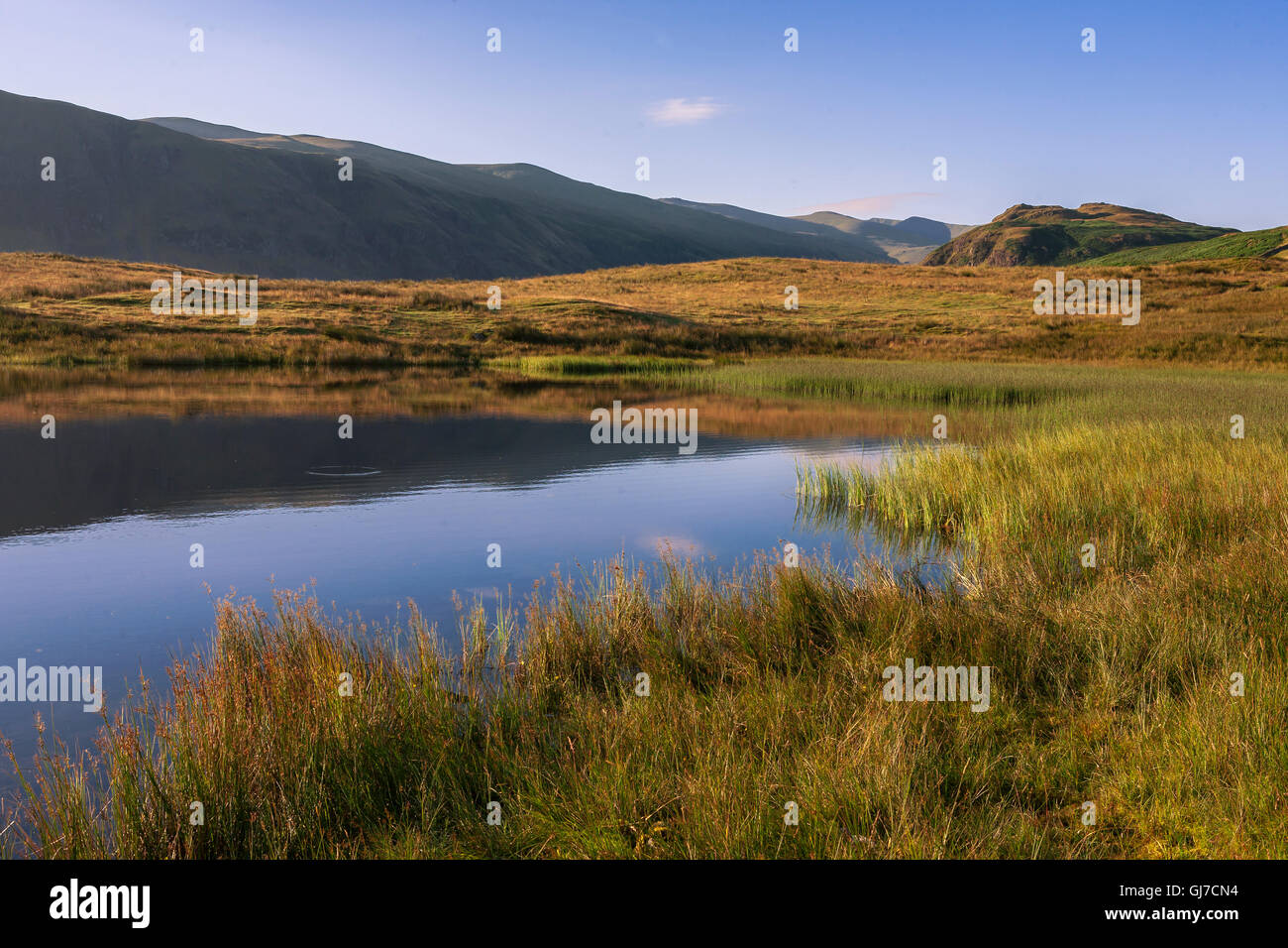 Tewet Tarn, a small lake near St John's in the Vale, Lake District, Cumbria, England Stock Photo