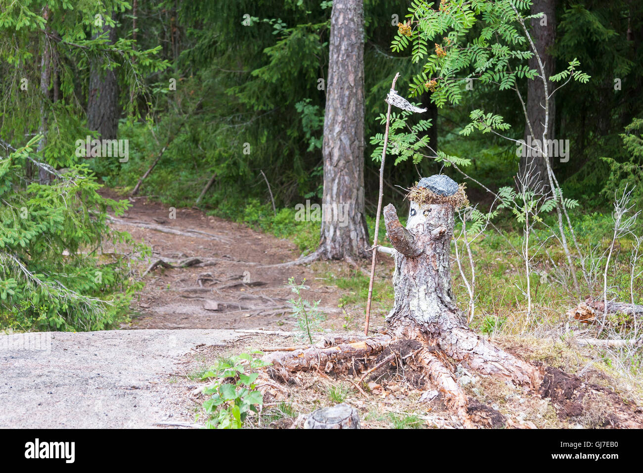 The forest of the old made of pine tree stump Stock Photo - Alamy