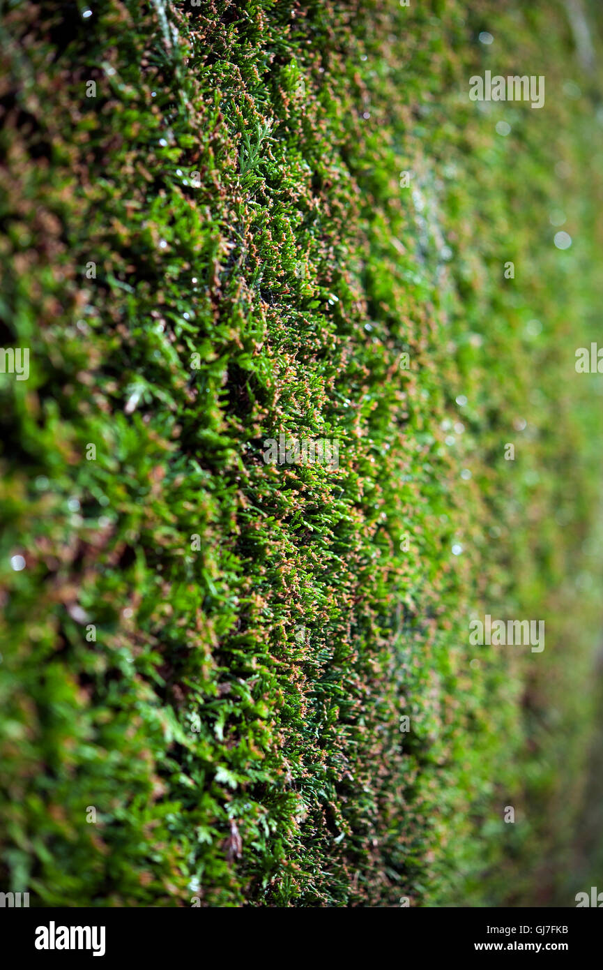 Lindford hampshire hires stock photography and images Alamy