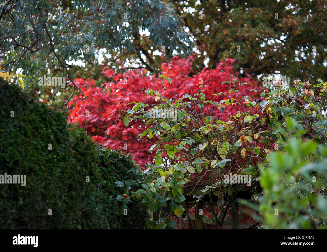 Lindford hampshire hires stock photography and images Alamy